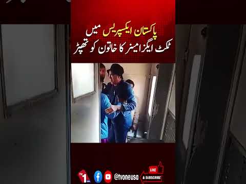 پاکستان ایکسپریس میں ٹکٹ چیکر کا عورت پر تشدد