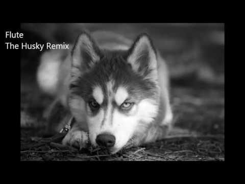 Tony Igy - Flute (The Husky Remix)