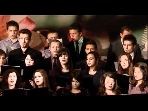 Amicus Arad+Bucuresti