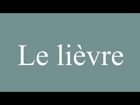 How to Pronounce ''Le lièvre'' (The Hare) Correctly in French