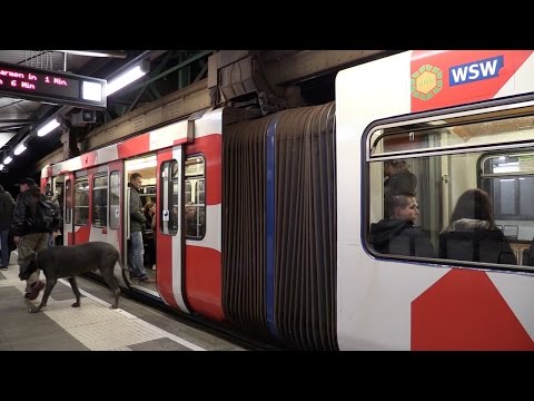 Wuppertal Monorail at night.