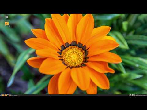 Sardi and Surfn icons visiting Linux Mint 20 Mate