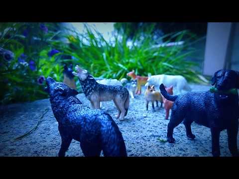 #Paws by Claws ep.17 # toys  #shepherd dog #kristina kashytska  #wolf toys