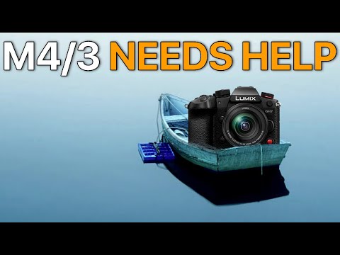 Micro Four Thirds Didn't Die, They Just...