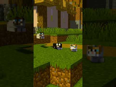 Maxwell Cat but in Minecraft | Minecraft Animation