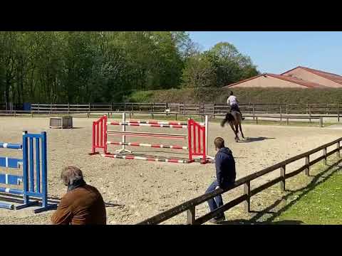 "Cherkasy" (v. Comme il Faut) 6 jaar. Training @Roshoeve onder Pieter Kenis