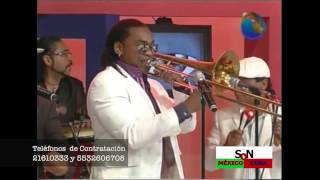 tv   Mata Siguaraya - Son México Cuba