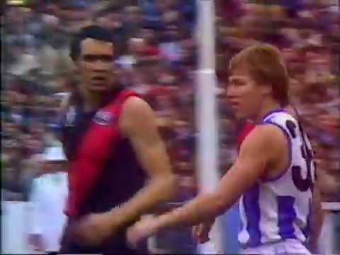 1983 Preliminary Final - Essendon vs North Melbourne