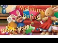 Storytime Read Aloud Nightime Bunny PBSKIDS Disneyjr SesameStreet RyansWorld