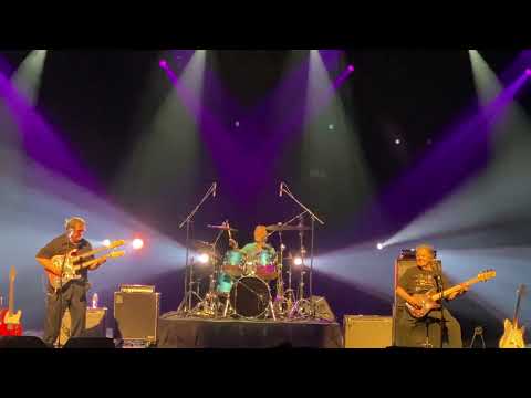 OH MY LADY/SWEET CITY WOMAN THE STAMPEDERS 2022