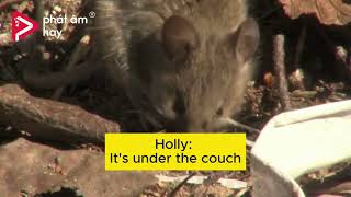 DAY 12 A MOUSE IN THE HOUSE