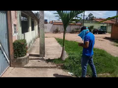 download lagu mp3 mp4 Segunda Via Cea, download lagu Segunda Via Cea gratis, unduh video klip Segunda Via Cea