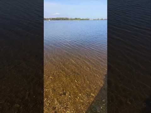 Let nature heal you #lake #water #holland #zoetermeer #nature