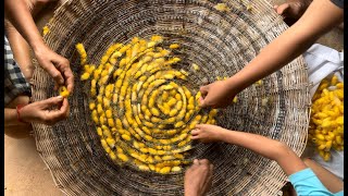 カンボジアの養蚕と座繰りin 伝統の森