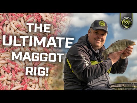 Jamie Hughes' Maggot Rig! ADVANCED rig knowledge! 👀