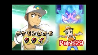 【Part46】ポケットモンスター サン実況プレイ「チャンピオンの間 防衛戦！(後編)」