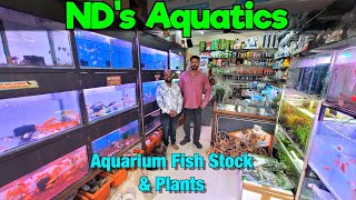 Aquarium Fish Stock at ND Aquatics I Delivery Available in Pune