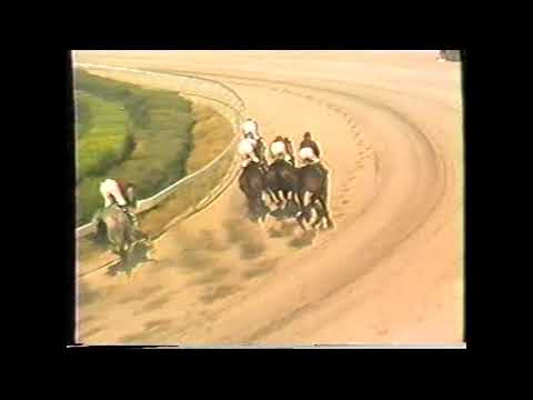 ST LEGER CUP 1989 JOKERS BOY