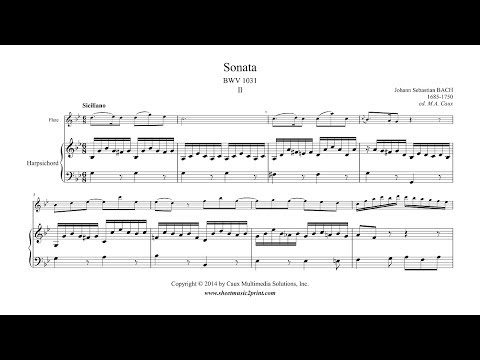 Bach : Siciliano from Sonata BWV 1031 - Flute