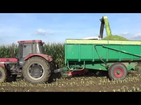 Loonw. Callemyn - Erbaut