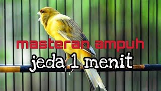 Download lagu masteran kenari || mudah ditiru untuk murai batu trotol @fathanbf mp3 Download lagu masteran kenari || mudah ditiru untuk murai batu trotol @fathanbf mp3