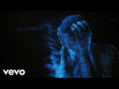ハイパー・ディメンショナル・エクスパンション・ビーム [SHM-CD ハイパー・ディメンショナル・エクスパンション・ビーム [SHM-CD