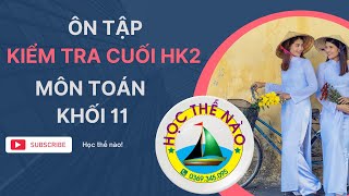 Ôn tập kiểm tra HK2 môn Toán - khối 11 - phần tự luận