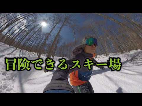 【春のツリーラン】探検が楽しい斑尾高原スキー場の面白いコース紹介するよ！