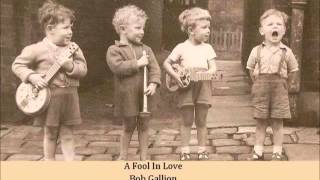 A Fool In Love   Bob Gallion