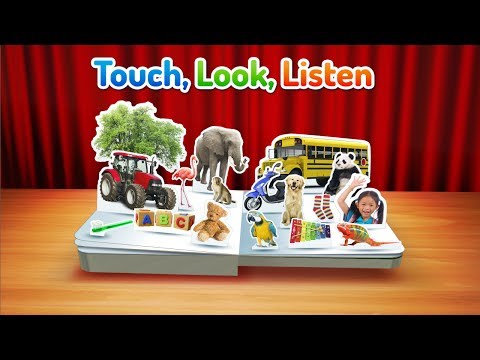 Things That Go Video