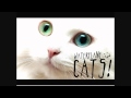 Cats by Waterflame
