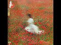 Alan Feanch Cecil Wary Flash Resonance Wild Flower 1976 CT 2010 Full Album