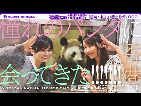 乃木坂配信中「【香港】“てれさぱんだ”が先輩・黒見と一緒に本物のパンダを発見!【vlog】」