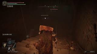 ELDEN RING　パート7