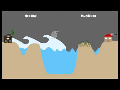 Flooding vs Inundation