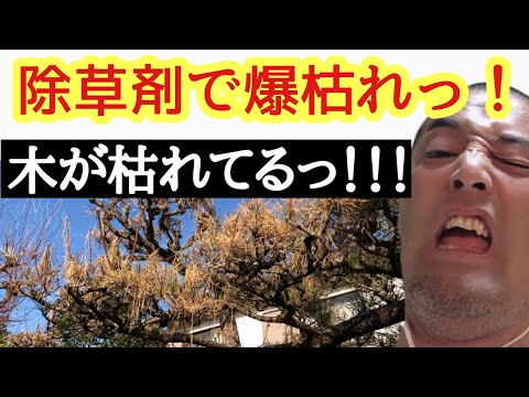 SGH07: 有毒、刺激性、感作性、麻薬性