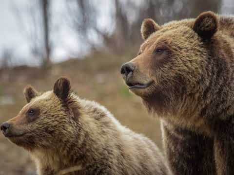 Stagecoach Motor Inn - DuBois (Wyoming) - United States