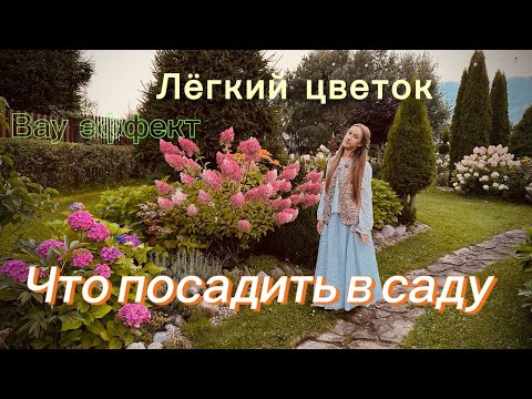 фото гортензия цветок 0