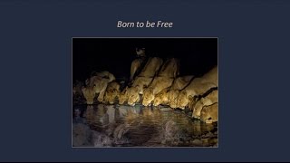 Born to be Free