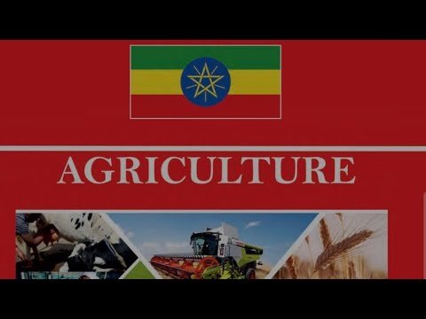 Grade 11 Agriculture Unit 3. Industrial crop production and management #cotton 