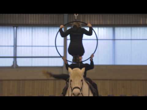 Horse around with fabric 79: Prosumer