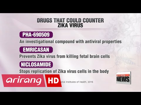 American scientists identify possible treatment compounds for Zika virus