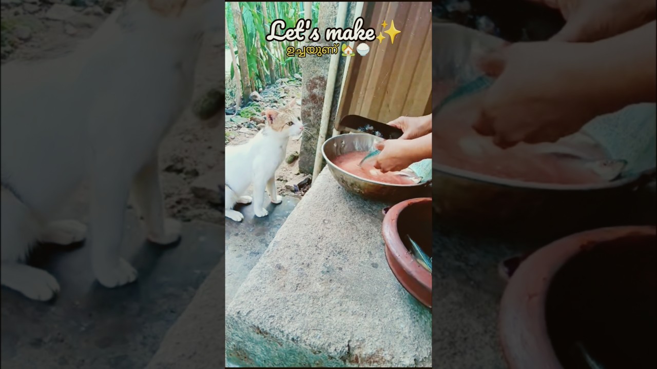 ഉച്ചനേരം 🏡🍚#fyp  #foodvolg #malayalamyoutube #lunchtime