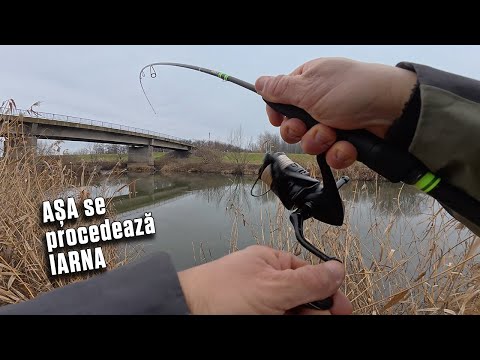 Pescuit la CLEAN, IARNA pe UN RAU EXTREM de LIMPEDE ! ! !