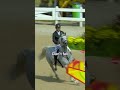 POV You Re A Horse At The Olympics ️ Olympics Athletes Sports
