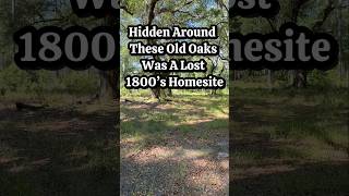 Hidden Around These Old Oaks Was A Lost 1800’s Homesite