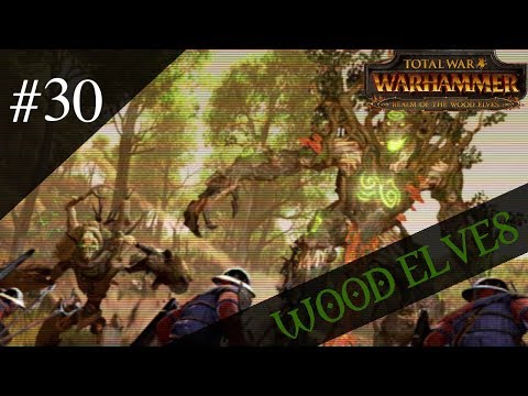 Dr.Z hraje... ☠ Total War: WARHAMMER CZ 30 ☠ - Lesní elfové!