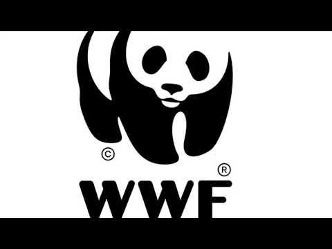 WWF Video