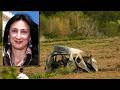 Une Bombe Pour Faire Taire Une Journaliste Daphne Caruana Galizia