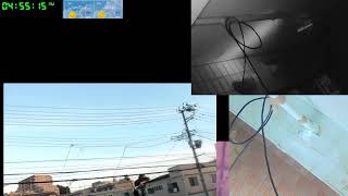 【ツバメさんSwallow】20230801電線空配信´・ω・｀)Wild birds